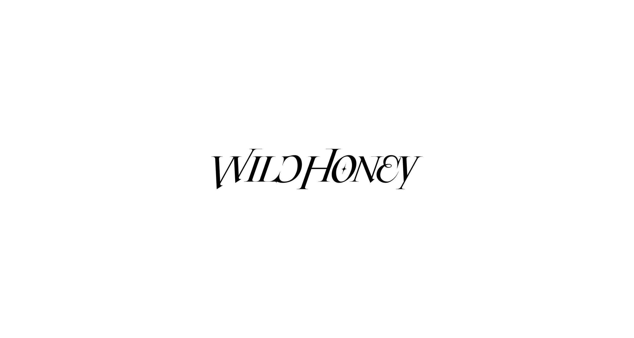logo-design-branding-san-diego-vortic-11-wild-honey-2