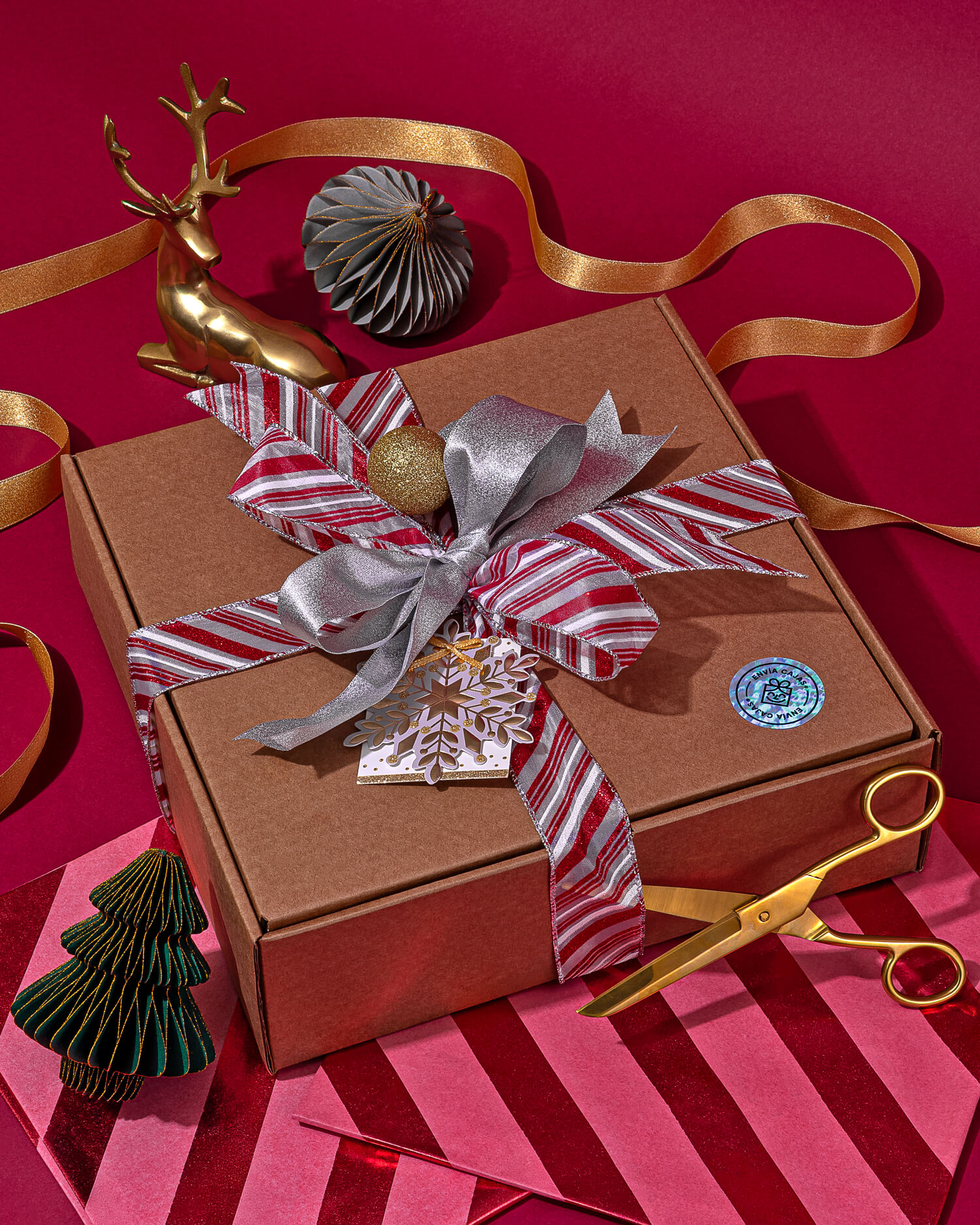 Envia Cajas x Vortic_photoshoot_01-WEB