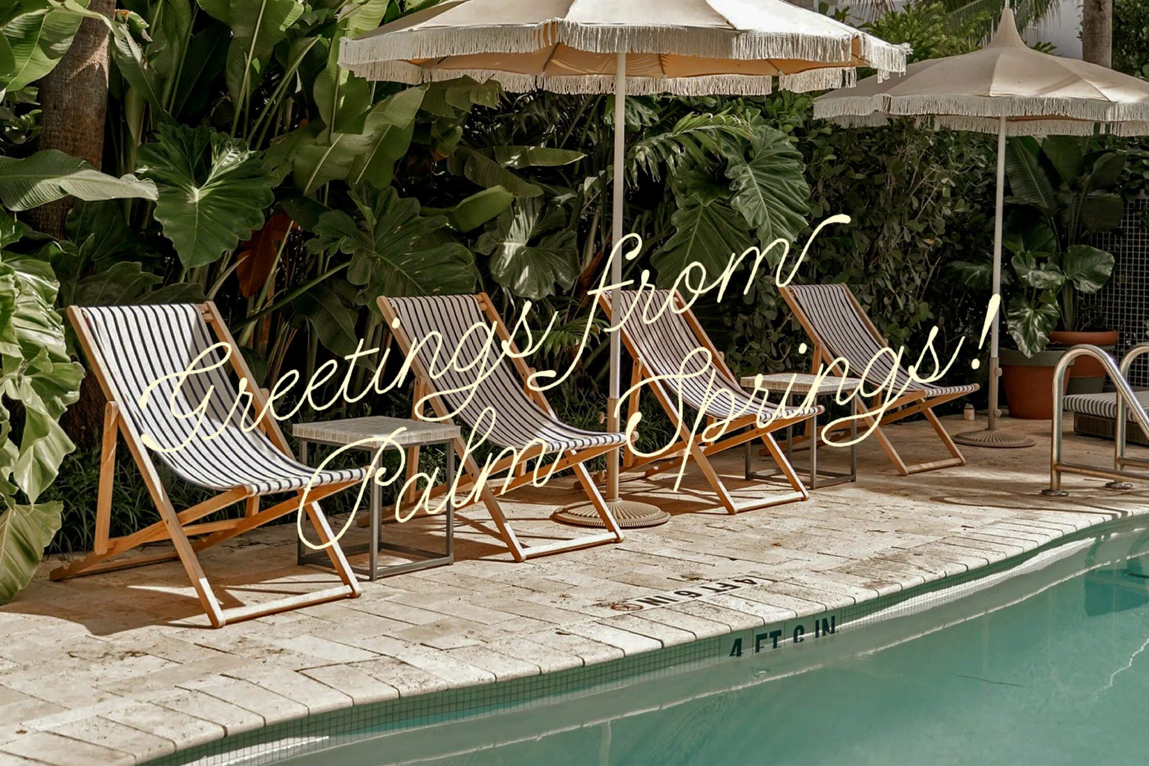 Vortic-Studio-Palm-Springs-Swim-Show-branding-portfolio-06 Vortic-Studio-Palm-Springs-Swim-Show-branding-portfolio-06